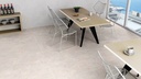 dPortland Beige AGT602034R
