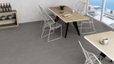 dPortland Taupe AGT602036R