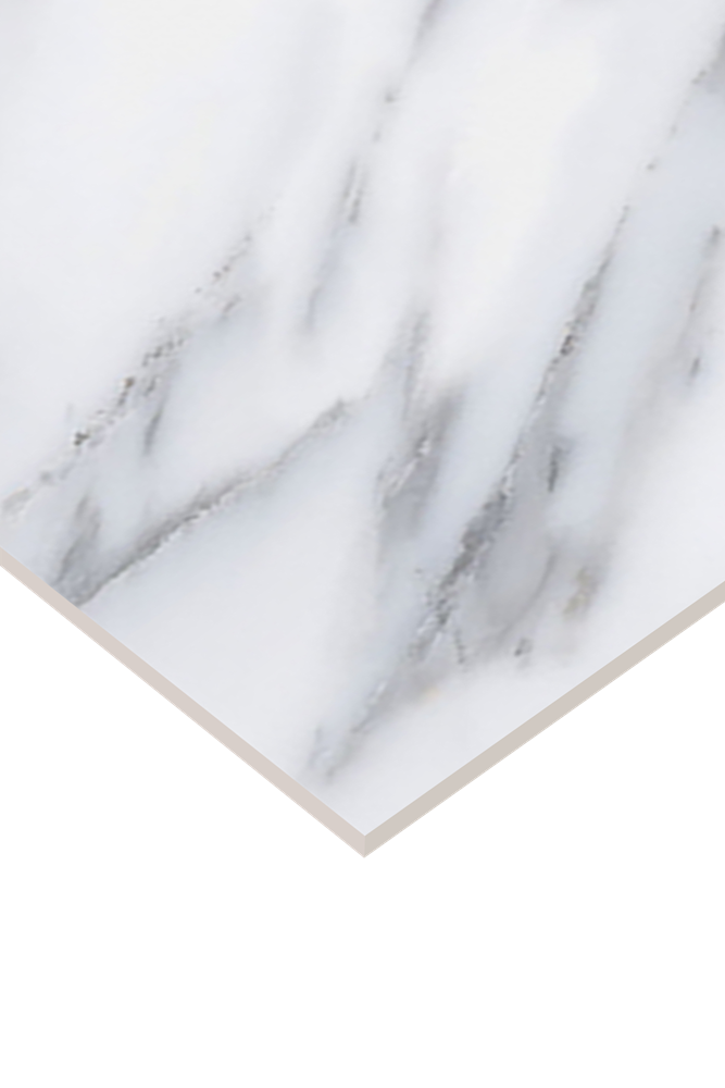 dMarmifera White AGT602059R