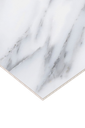 dMarmifera White AGT602059R