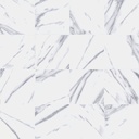 dMarmifera White AGT602059R