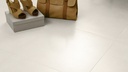 dSpring Bone AGT602118R