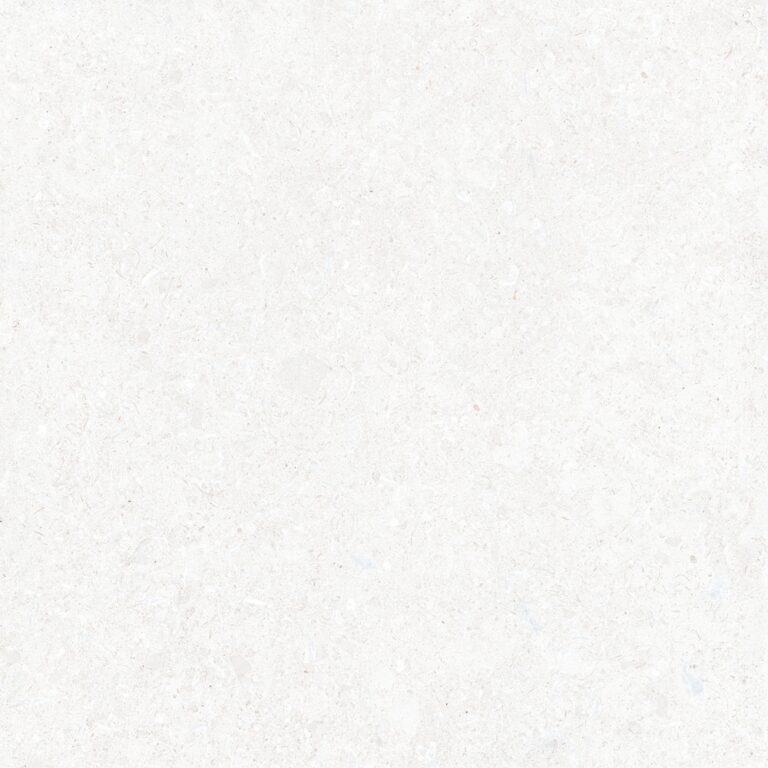 dCharleston Bone AGT609813FR