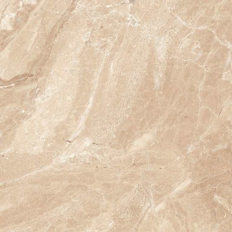 dCaesar Siena AGT609859FR