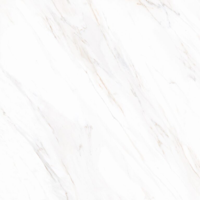 dSalvadori White AGT609866FR