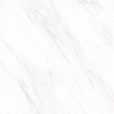 dSalvadori White AGT609866FR