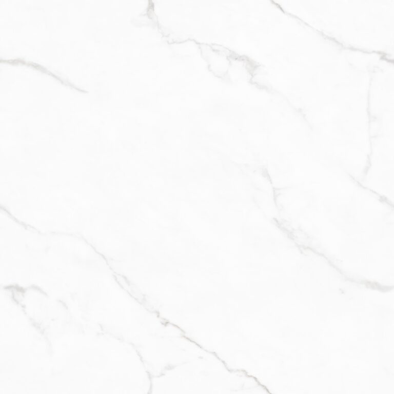 dPania Continua AGT609889FR