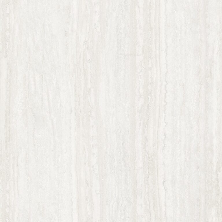 dRapolino Bone AGT609898FR