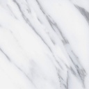 dMarmifera White AGT602059R