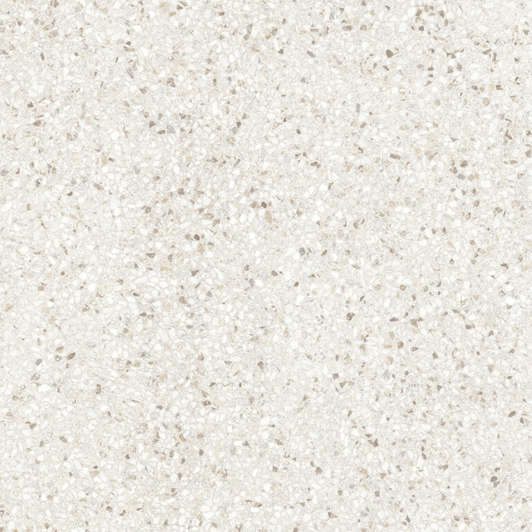 dPortico Bone AGT602197R