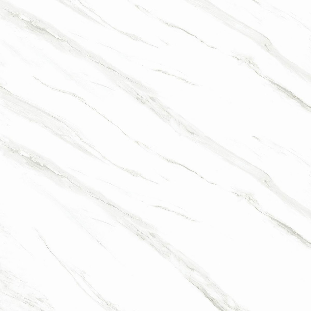 Bologna White Polish