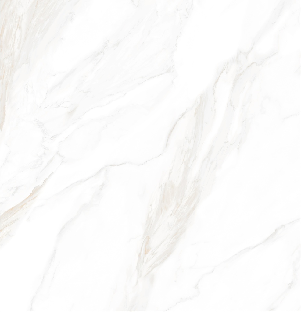 Davos Bianco (copy) (copy)
