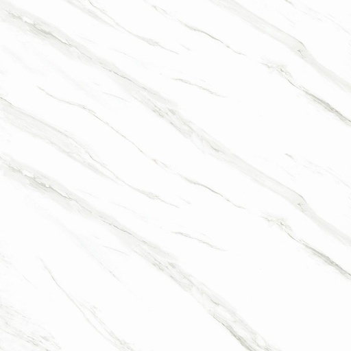 Bologna White Polish