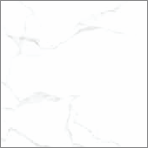 Snowy Carrara (copy) (copy) (copy)
