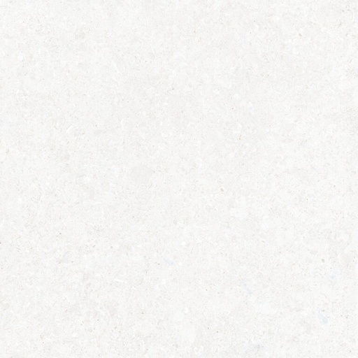 [AGT609813FR] dCharleston Bone AGT609813FR