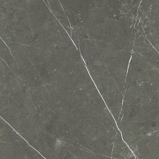 [AGT609815FR] dGregiro Grigio AGT609815FR