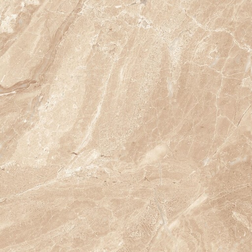 [AGT609859FR] dCaesar Siena AGT609859FR