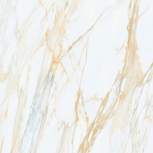 [AGT609870FR] dBrighton Gold AGT609870FR