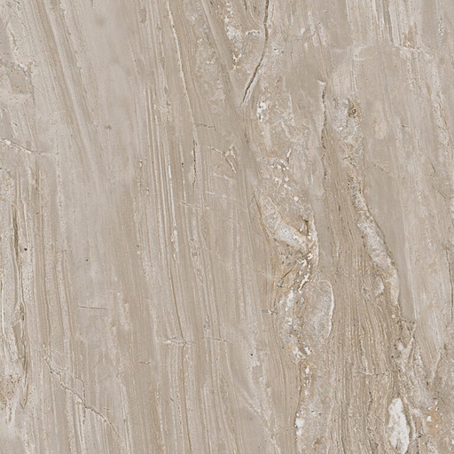 [133351RP] dPalatium Bruno 133351RP