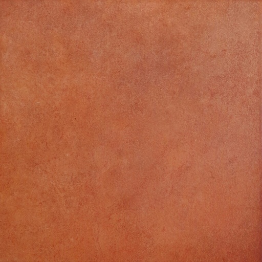 [1G330504] Faenza Terra 1G330504