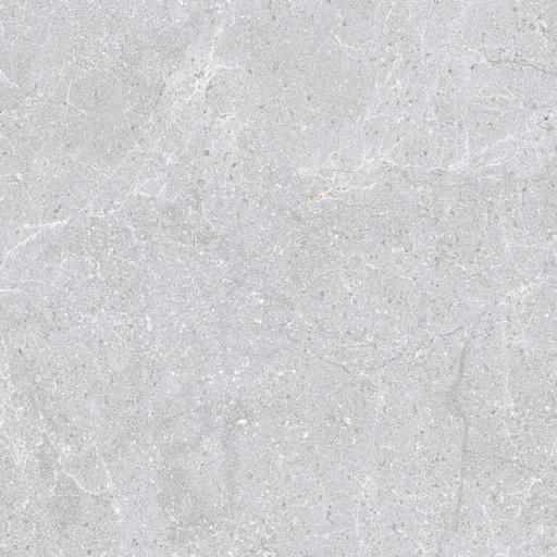 [1G330800] dLastrico Ash 1G330800