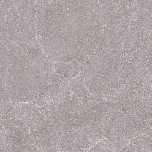 [1G330801] dLastrico Grey 1G330801