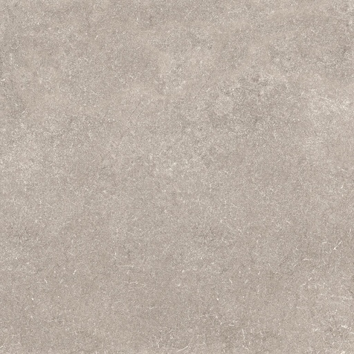 [AGT602058R] dPiccadilly Taupe AGT602058R