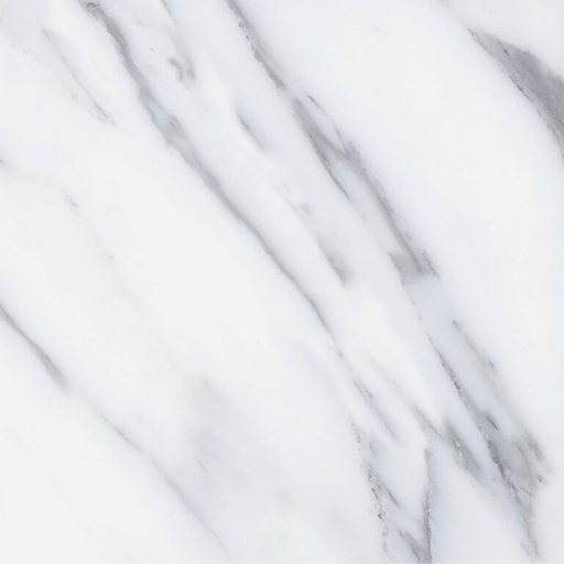 [AGT602059R] dMarmifera White AGT602059R