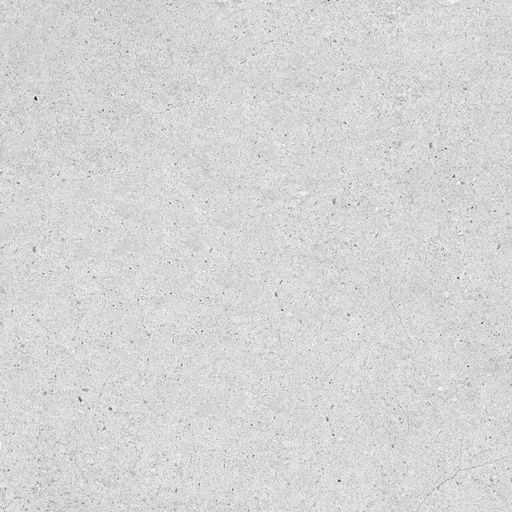 [AGT602067CR] dShibuya Ash AGT602067CR