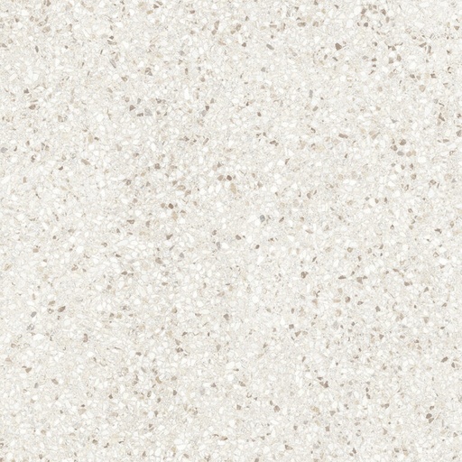 [AGT602197R] dPortico Bone AGT602197R