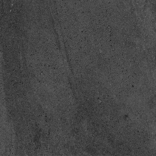 [AGT605519CR] dStanford Black AGT605519CR