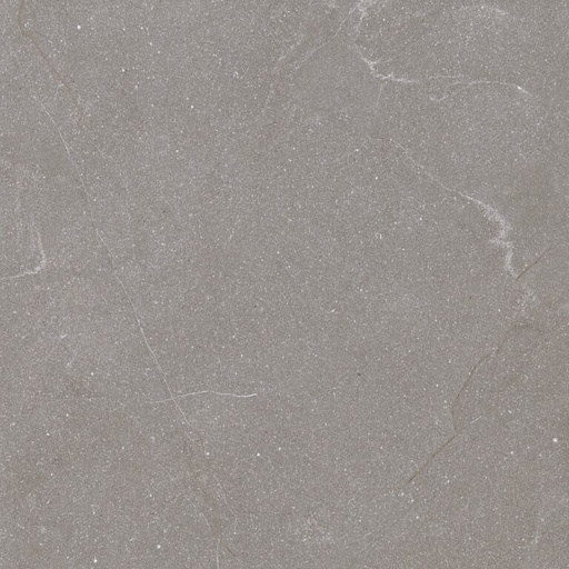 dFlorida Taupe AGT602521R (copy)