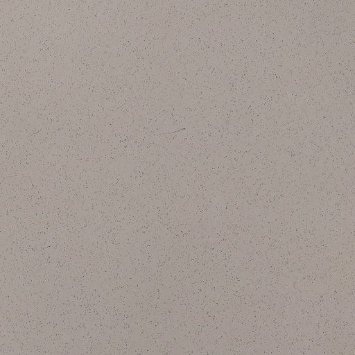 Basil (copy) (copy)