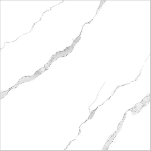 White Canuto (copy) (copy)